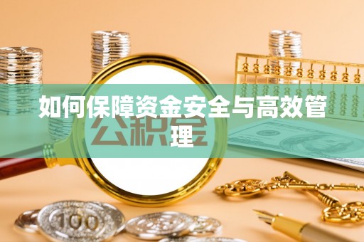 乐昌如何保障资金安全与高效管理