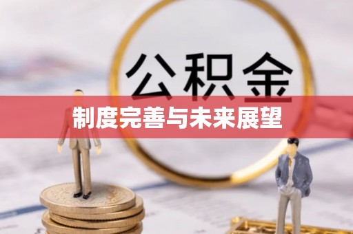 乐昌制度完善与未来展望