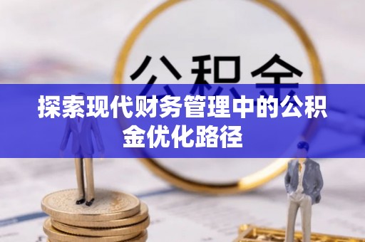 乐昌探索现代财务管理中的公积金优化路径