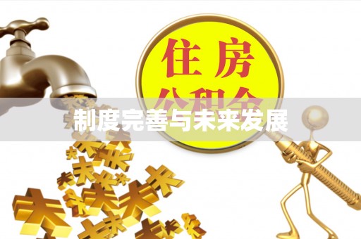 乐昌制度完善与未来发展